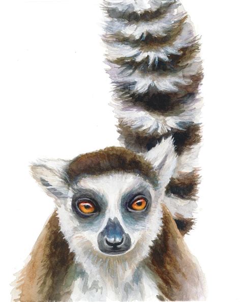 Ring Tailed Lemur Watercolor Portrait Digital Download Etsy In 2021