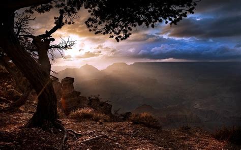 1230x768 Nature Landscape Sunset Grand Canyon Trees Clouds Wallpaper