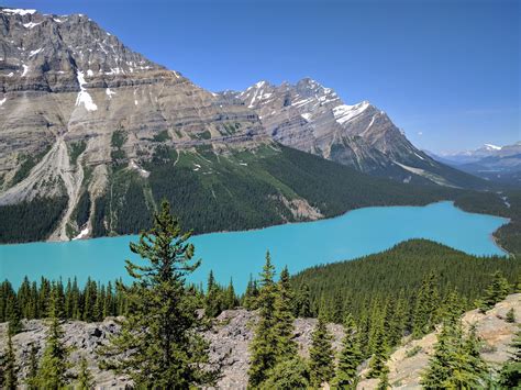 Peyto Lake Canada Banff Np How To See Its Colors 3 Moments Grazy Goat
