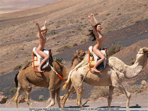 El Vuit Bruit Naked Girls On Camels