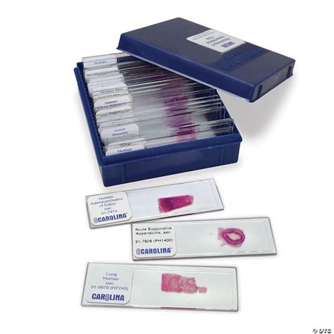 Carolina Biological Supply Company Histopathology Of Disease Slide Set