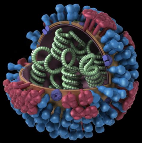 New Compound Inhibits Influenza Virus Replication 🦠 Latest Research Updates Team Medweb