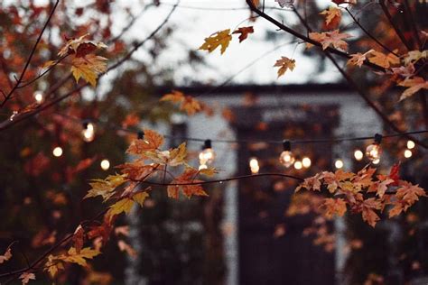 Autumn Vibes Pinterest Xchxara ∆ Autumn Fall
