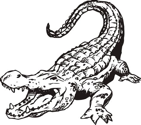 Caminhada De Crocodilo Para Colorir Imprimir E Desenhar Colorirme