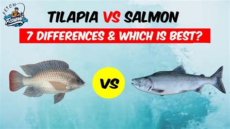Tilapia Vs Salmon The Complete Comparison Which Is Better