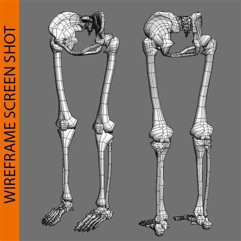 Human Leg Skeleton 3d Model 29 3ds Fbx Ma Max Obj Free3d