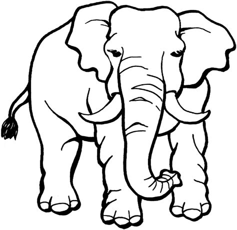 Coloring page: elephant | Free printable downloads from ChoreTell