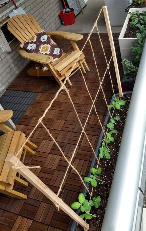 Working On My First Balcony Garden And Built A Little Trellis For My