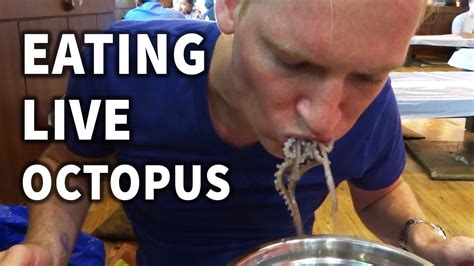 Eating Live Octopus In Korea Youtube
