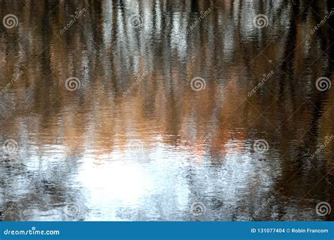 Blurred Tree Reflections In Water Stock Photo Image Of Blurry Darks