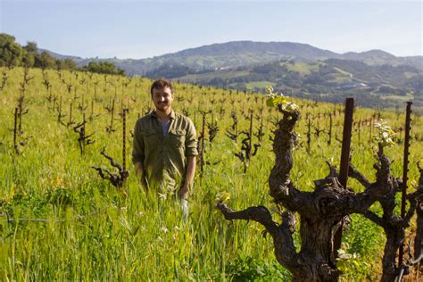 You can even rate and review. "Biochar: the Vineyard's Next Big Thing"_ article in Wine ...