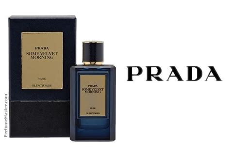 Prada Olfactories Some Velvet Morning New Fragrance Perfume News Perfume Popular Perfumes