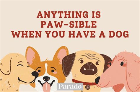 50 Funny Dog Puns That Are Paw Some Parade Pets