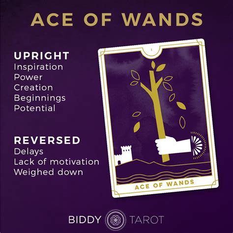 Seven Of Wands Tarot Card Meanings Biddy Tarot 58 OFF