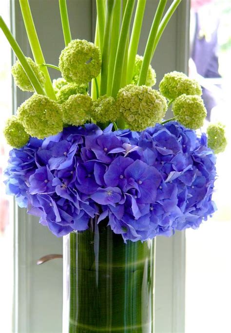 Pin By Anita Gaudreau Russo On For The Love Of Flowers Hydrangea