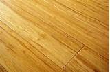 Pictures of Bamboo Floors With Dogs