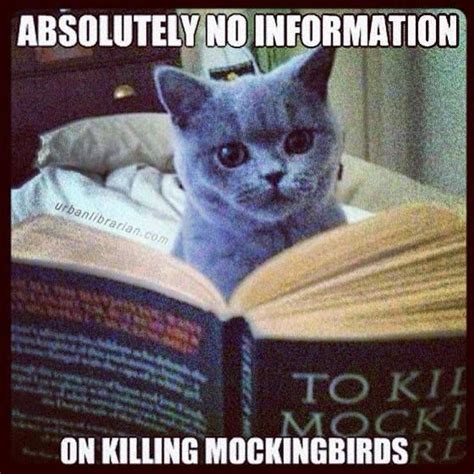 To Kill A Mockingbird Library Memes Library Humor Librarian Humor