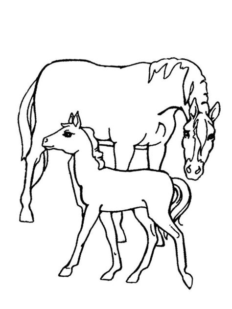 Kleurplaten en zo kleurplaten van paarden for paarden tekeningen. Kleurplaat Paard en veulen | Leukekleurplaten.nl