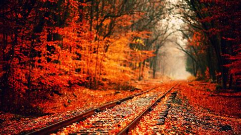 Autumn Wallpapers Hd 1920x1080