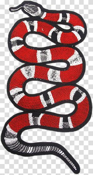 How To Draw Gucci Snake Justblackwallpapersforandroid