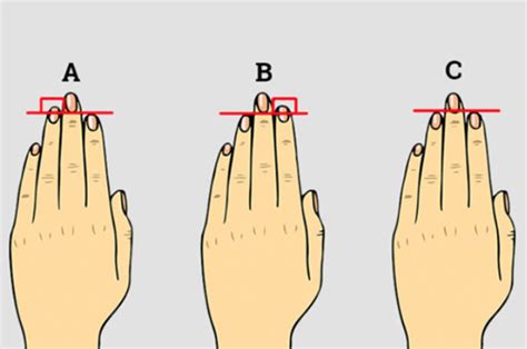 The Length Of Your Fingers Reveals A Lot About Your Personality And Sex Life Daily Star