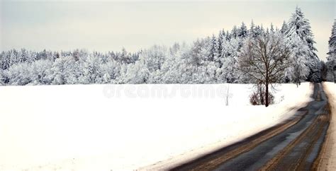 Winter Meadow And Forest Stock Image Image Of Street 12591747