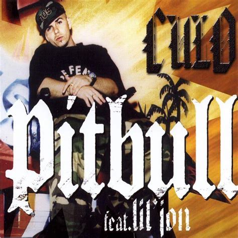 Culo Single By Pitbull Feat Lil Jon Spotify