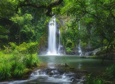 Daintree Waterfall Where You Can Swim Cassowary Falls
