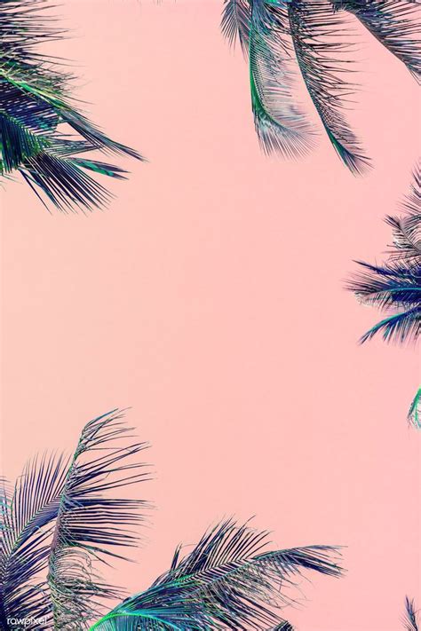 Tropical Green Palm Leaves On Pink Background Free Image By Rawpixel