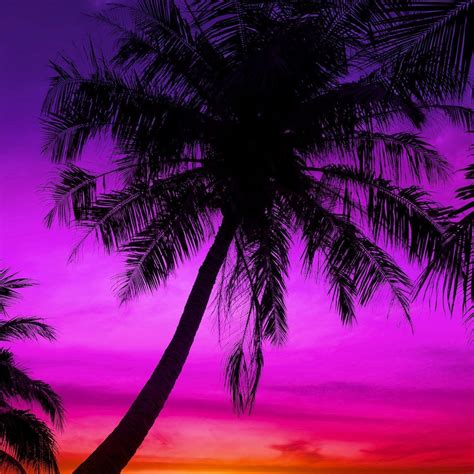 JC's Bargain Paradise