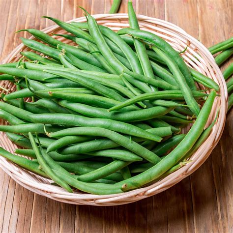 Tips for growing heirloom vegetables by esther sung. Harvester Bush Bean Seeds - 5 Lb - Non-GMO, Heirloom Green ...