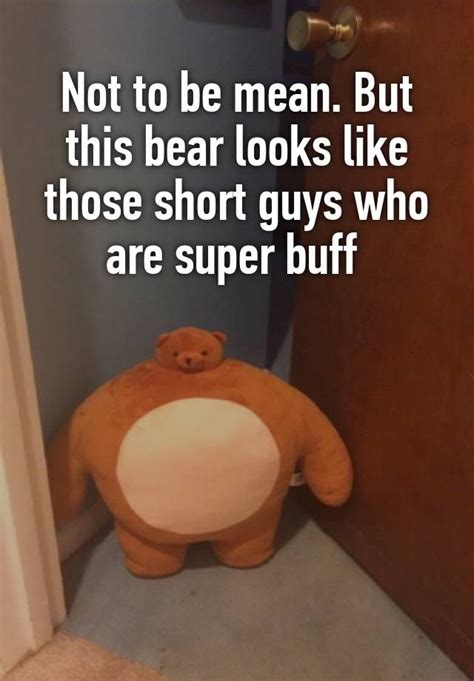 Not To Be Mean But This Bear Looks Like Those Short Guys Who Are