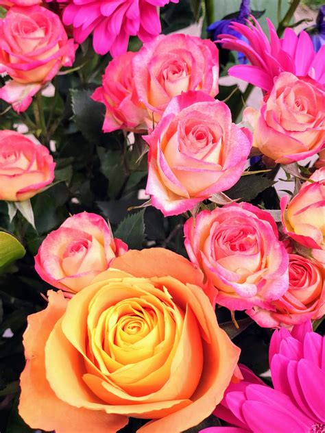 A child born of unlawful marriage. The Most Beautiful Bunch Of Flowers | Claire's World