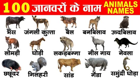 100 Animals Name In Hindi And English Pdf Download Englishji
