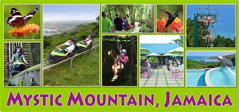 Things To Do At Mystic Mountain Jamaica