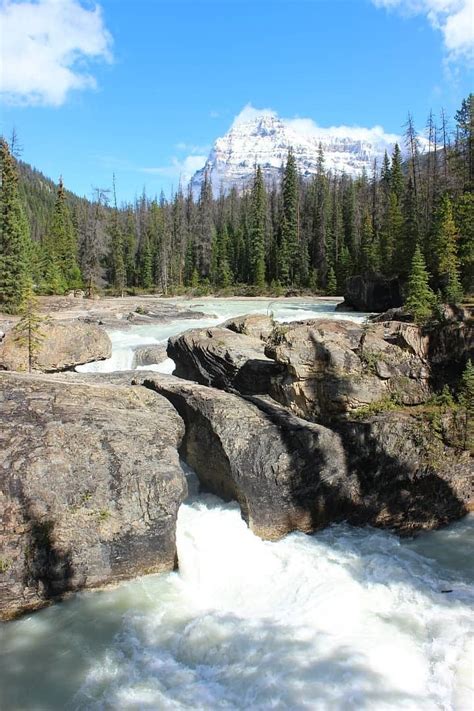 The Ultimate Guide To Yoho National Park Nomadasaurus
