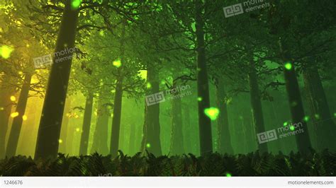 Deep Forest Fairy Tale Scene Fireflies 3d Render Stock Animation 1246676