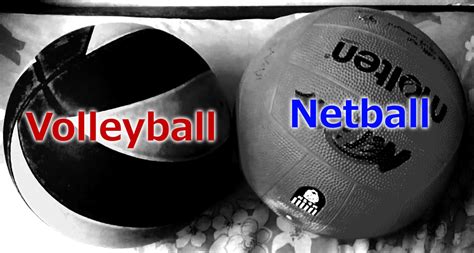 Semelhança E Diferença Entre Basquetebol E Voleibol
