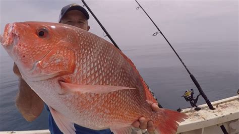 Competition For First Most And Biggest Red Snapper Day 3 Youtube