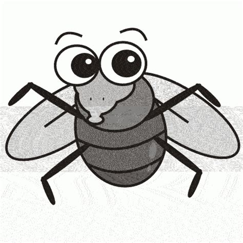 Cartoon Fly Pictures Free Download On Clipartmag
