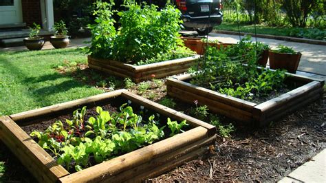 How To Grow A Beautiful Garden At High Altitude Vegetable Gardening