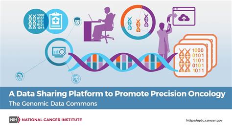 A Data Sharing Platform To Promote Precision Oncology The Genomic Data