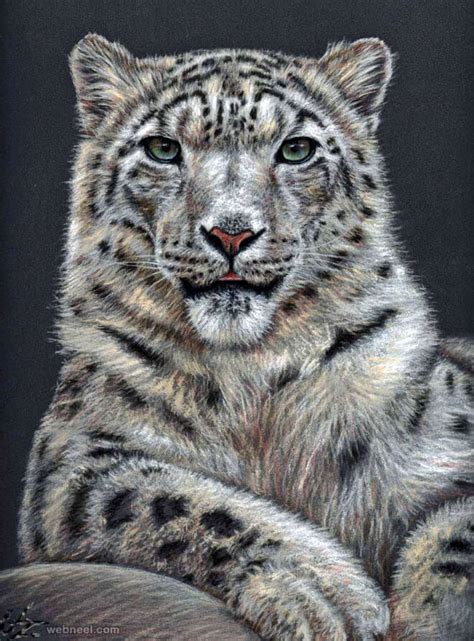 26 Stunning Drawings Of Animals Made From Pencil And Paper