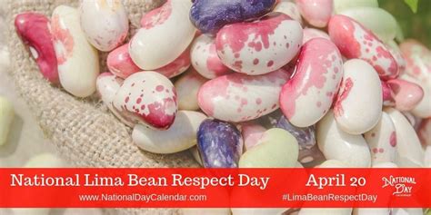 National Lima Bean Respect Day April 20 Wisconsin Cheddar National