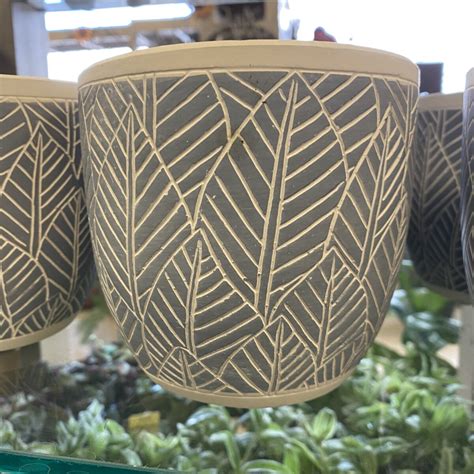Banana Leaf Pattern Concrete Pot › Anything Grows