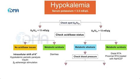 Hypokalemia Diagnostic Approach Differential Algorithm Cmdt 2022