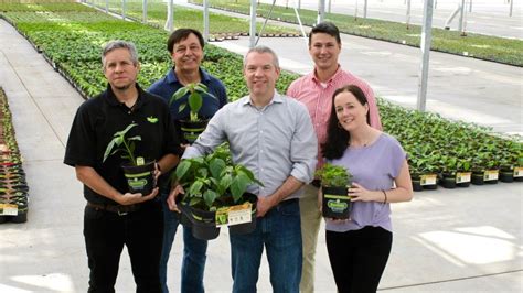 How Consumer Focus Drives Innovation At Bonnie Plants Greenhouse