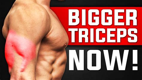 3 Triceps Exercises For Skinny Guys Hardgainers Tricep Workout For