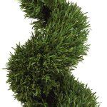 Your yard or garden will be the talk of the neighborhood when you install a few of these lovely topiary trees we have for sale. Fresh Real Topiary Trees - HomesFeed
