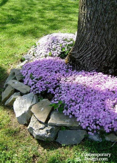 See more ideas about house landscape, front yard landscaping, front house landscaping. Simple front house landscaping ideas - Contemporary-design